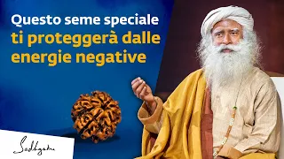 Questo seme speciale ti proteggerà dalle energie negative | Sadhguru Italiano