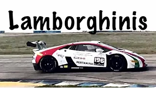 Lamborghini Super Trofeo racing Friday SIR
