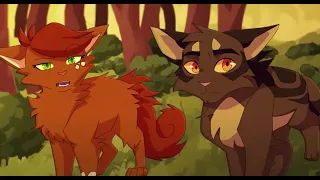 22 MINUTES OF FUNNY LAUGHER! || warrior cats