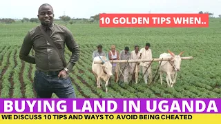 Important Tips When Buying Land In Uganda