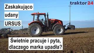 Zaskakująco udany Ursus C-3150. Świetnie pracuje i pyta, dlaczego marka upadła? #ursus