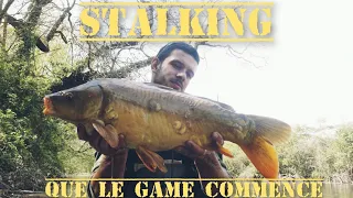 pêche à la carpe en stalking (une belle pépite ) #33 carp fishing