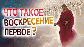 #304 Что такое воскресение первое? - Алексей Осокин - Библия 365 (2 сезон)