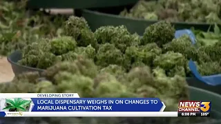 Legal California cannabis industry says growers tax too high to survive illicit competition