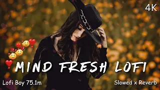 💘TRENDING| INSTAGRAM LOFI MASHUP| SLOWED+REVERBED | MIND FRESH LOFI SONG | Lofi Boy 75.15 | Lofi (2)