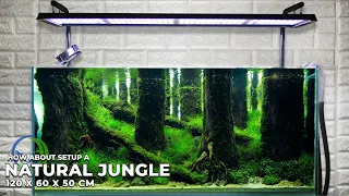 NATURAL JUNGLE STYLE AQUASCAPE