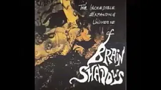 Various ‎– The Incredible Expanding Universe Of Brain Shadows 60s-70s Acid Psych Garage Rock Music