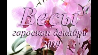 Весы прогноз на декабрь 2019. Источник положительных эмоций дом, семья.