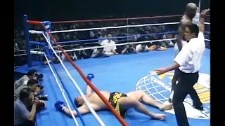Ernesto Hoost | Top Knockouts, HD