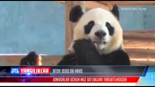 Yangiliklar | Xitoyning issiq havosidan jonivorlar ham aziyat chekmoqda [30.07.2018]