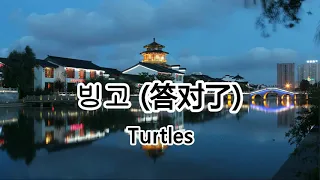빙고 答對了 - Turtles 【2019抖音熱門歌曲】