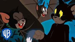 Tom & Jerry | Black Cats & Spooky Bats | WB Kids