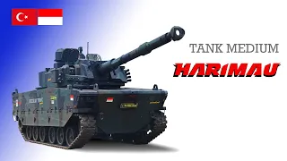 Harimau Medium Tank / Kaplan MT made by Indonesia-Turkey