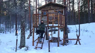 1 Year of Building a Treehouse Alone From Start to Finish