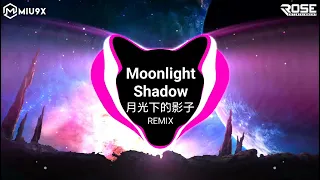 Moonlight Shadow (DJ版) 月光下的影子 | Dana Winner || Nhạc Hot TikTok Douyin 2023