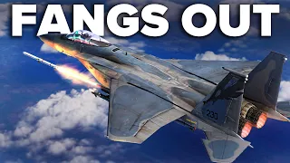 Can One F-15 Eagle Stop An Enemy Strike | DCS World