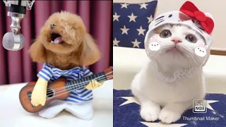 OMG! These Dogs Can Singing!🐶Funny and Cute Dog and Cat Compilation 2020💗#11