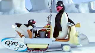 Like Father, Like Pingu 🐧 | Pingu - Official Channel | Cartoons For Kids