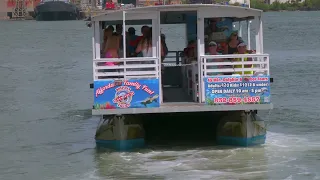 Galveston Dolphin tours expands it's boat services in Galveston!