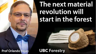 The Next Material Revolution Will Start in the Forest