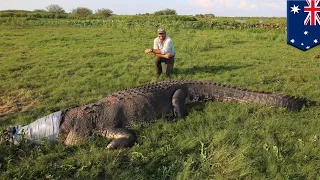 Giant crocodile: Outback Wrangler Matt Smith catches monster croc in Australia - TomoNews