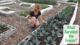 What Survived the June Freezes? Gardening in the Wyoming Mountains - Tiny House Homestead