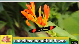 4K HDR Video Beautiful Flower Garden in Canada | The Butchart Gardens | Relaxing Meditation Music