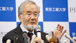 Che cos'è l'autofagia? Nobel per la Medicina al giapponese Yoshinori Ohsumi