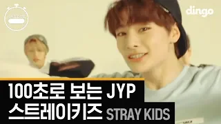 스트레이 키즈의 [100초]로 보는 JYP 댄스 총정리! Stray Kids 100 Sec JYP [4K고화질 댄스]