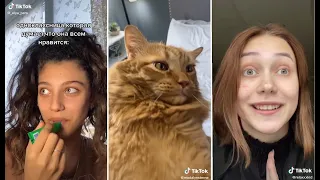 ЛУЧШЕЕ ИЗ ТИК ТОКА | THE BEST FROM TIK TOK | #117 | TIKTOK.MP4