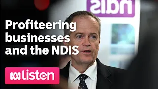 Profiteering businesses and the NDIS | ABC News Daily Podcast