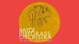 Hayde Bluegrass Orchestra - Girl From the North Country (Live) [Official Audio]