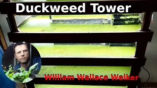 Duckweed GrowTower