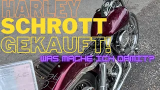 Harley Davidson Schrott gekauft ?!