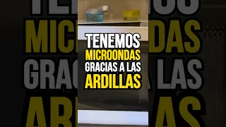 Tenemos MICROONDAS gracias a las ARDILLAS 🐿️ • #Datazo