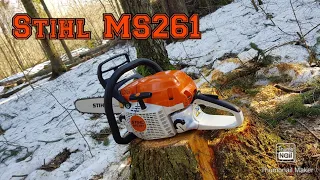 Stihl MS 261 // Прошел обкатку // Полный обзор