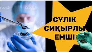 СҮЛІКТІҢ СІЗ БІЛМЕЙТІН ҚАСИЕТІ😱БАУЫР МЕН БҮЙРЕКТЕГІ ТАСТЫ ТҮСІРЕДІ...