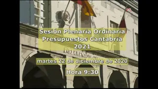 Sesión plenaria ordinaria del día 22 de diciembre de 2020, Sesión matutina