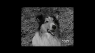 Lassie - Episode #13 - "Sale of Lassie" - Season 1, Ep. 13 - 12/05/1954