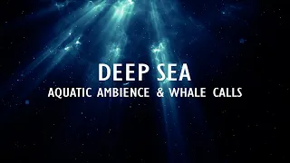 2HR Sleep Ambience | Water & Whale Calls | Deep Sea
