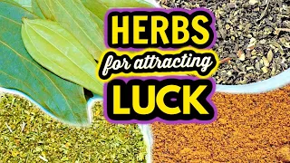 🔥 HERBS FOR LUCK 🌿 To Increase LUCK in Manifestations, Love, Money, Spells, Rituals & More 🔥