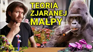 TEORIA ZJARAN3J MAŁPY