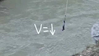 Option D - Acceleration of a Bungy Jump