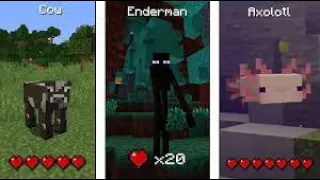 Which Mod Has More Health Points In Minecraft