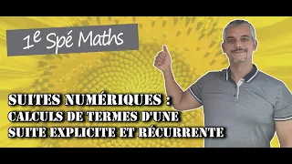 Suites Numériques - Calculs de termes d'une suite explicite et récurrente