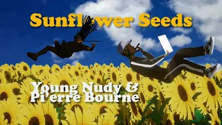 Young Nudy & Pi'erre Bourne - Sunflower Seeds (Fan Animation Clip)