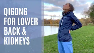 Qigong For Lower Back & Kidneys (Water Element)