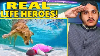 Tribal People React To Hero Animals that Saved Human Lives ! Tribal People React To Hero Animals