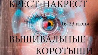 Вышивальные коротыши 16-23 июня