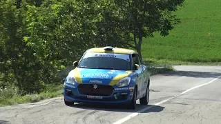 CLIP 2° Rally Salsomaggiore Terme 2019 Rivia - Bertonasco by Ferrario